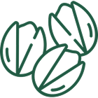 pistachio icon